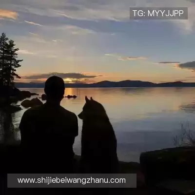 赵苏静